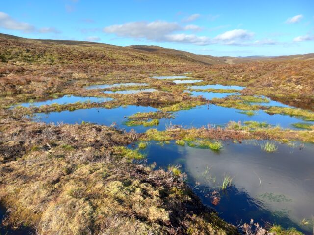 Image of peatlands