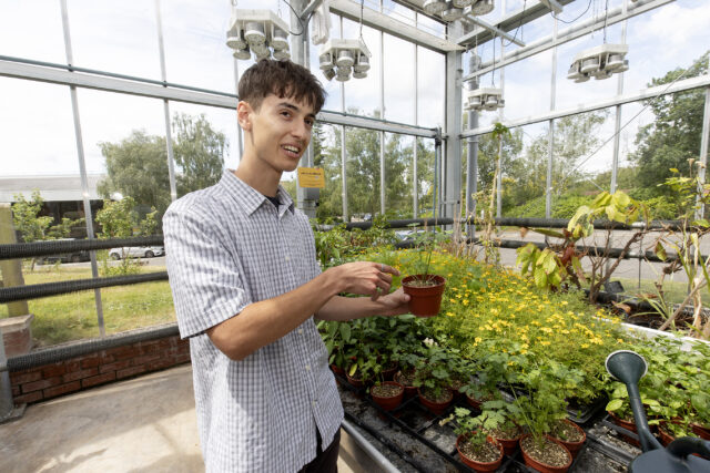 Man holding plant pot in greenhouse